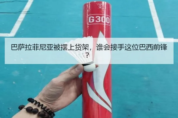 ba-sa-la-fei-ni-ya-bei-bai-shang-huo-jia-shui-hui-jie-shou-zhe-wei-ba-xi-qian-feng-3-350.jpg